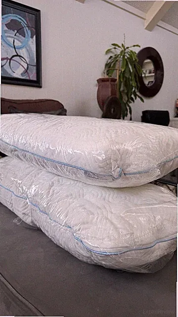 Tempur-Pedic Set of 2 Pillows.