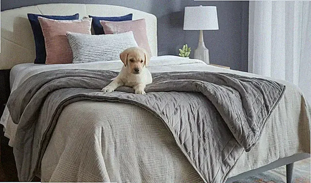 Tempur-Pedic Weighted Blanket, New
